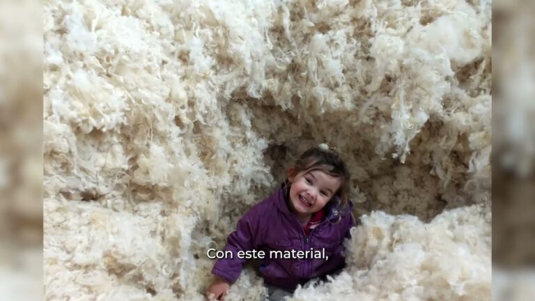 Aislamiento Biodegradable: Clave para un Hogar Sostenible