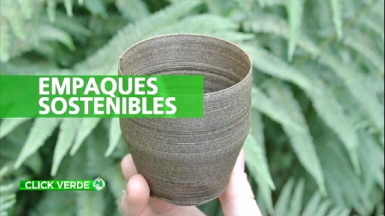 Innovaci&oacute;n Ecol&oacute;gica: Aislamiento Sostenible con Bamb&uacute;