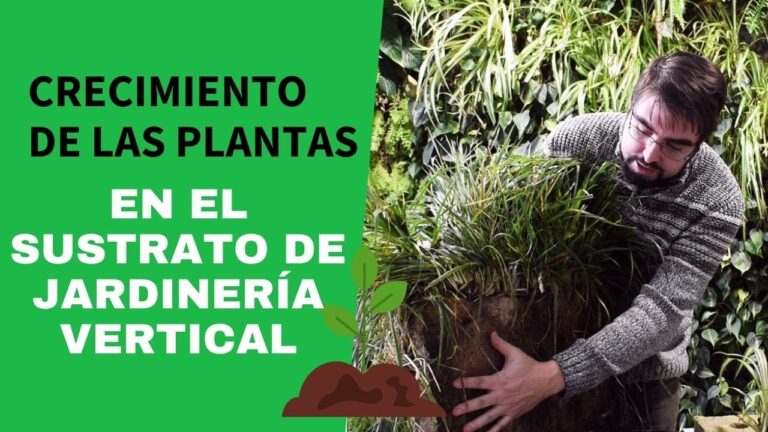 Beneficios de la Lana de Roca en Cultivos de Interior