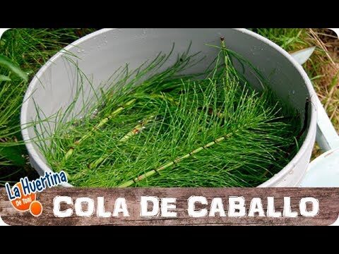 Propiedades Antihongos de la Lana de Roca