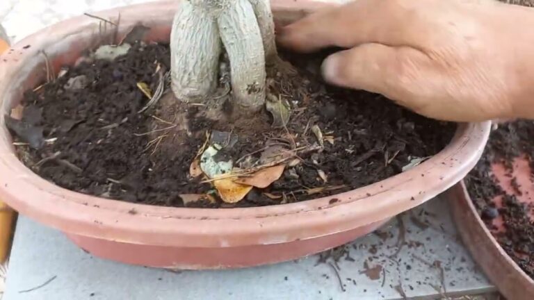 Beneficios Ambientales de la Arcilla en el Aislamiento