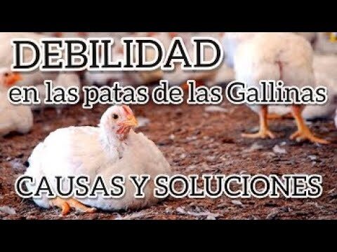 Caracter&iacute;sticas de la lana de roca para prevenir deformaciones