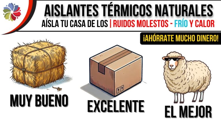 Ventajas de la Lana de Oveja como Aislante Ecol&oacute;gico