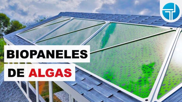 Eficiencia Energ&eacute;tica a trav&eacute;s de Materiales de Algas