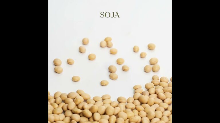 Innovaci&oacute;n en Sostenibilidad: Espuma de Soja en Construcci&oacute;n