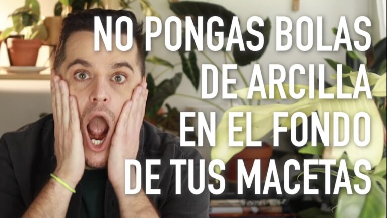 Beneficios de la Lana de Roca en Maceteros