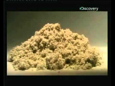 Aislamientos Ecol&oacute;gicos: Innovaci&oacute;n con Ca&ntilde;a de Az&uacute;car