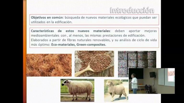 Soluciones Sostenibles de Aislamiento con Lana de Oveja