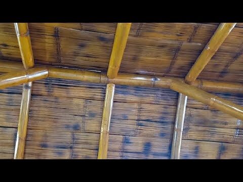 Aislamiento Verde: Techos Sostenibles como Soluci&oacute;n Ecol&oacute;gica